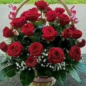 Meet your Posher, Nancy